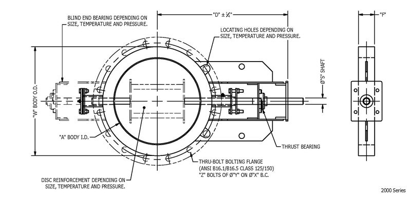 2000 ANSI Class Wafer